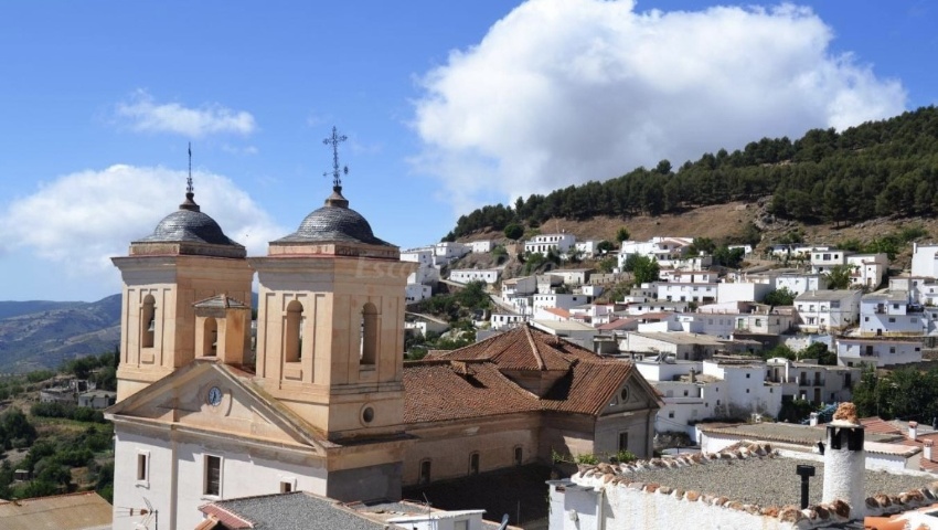 Imagen-de-Murtas Imagen-de-Murtas